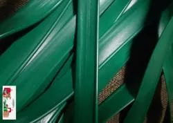 Веревочные шнуры 08